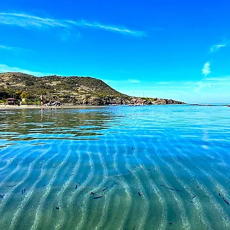 E.j. Bay